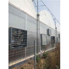 玻璃鋼無動力風(fēng)機價格 玻璃鋼無動力風(fēng)機批發(fā) 玻璃鋼無動力風(fēng)機廠家 